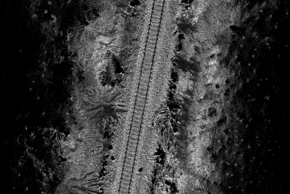 News: Laserové skenování vegetace v okolí železniční trati Radňov – Herálec 06