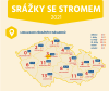 Novinky: infografika srážky se stromy