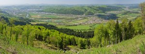 Projekt SaveGREEN: Ratislav Stanik - SLO Landscape Manina