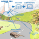 Savegreen project app will help to better understand long-distance animal migration. You can contribute to it too.