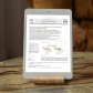 Secondary target organs exhibit differential ability to clear cadmium after cadmium oxide nanoparticle inhalation_náhled