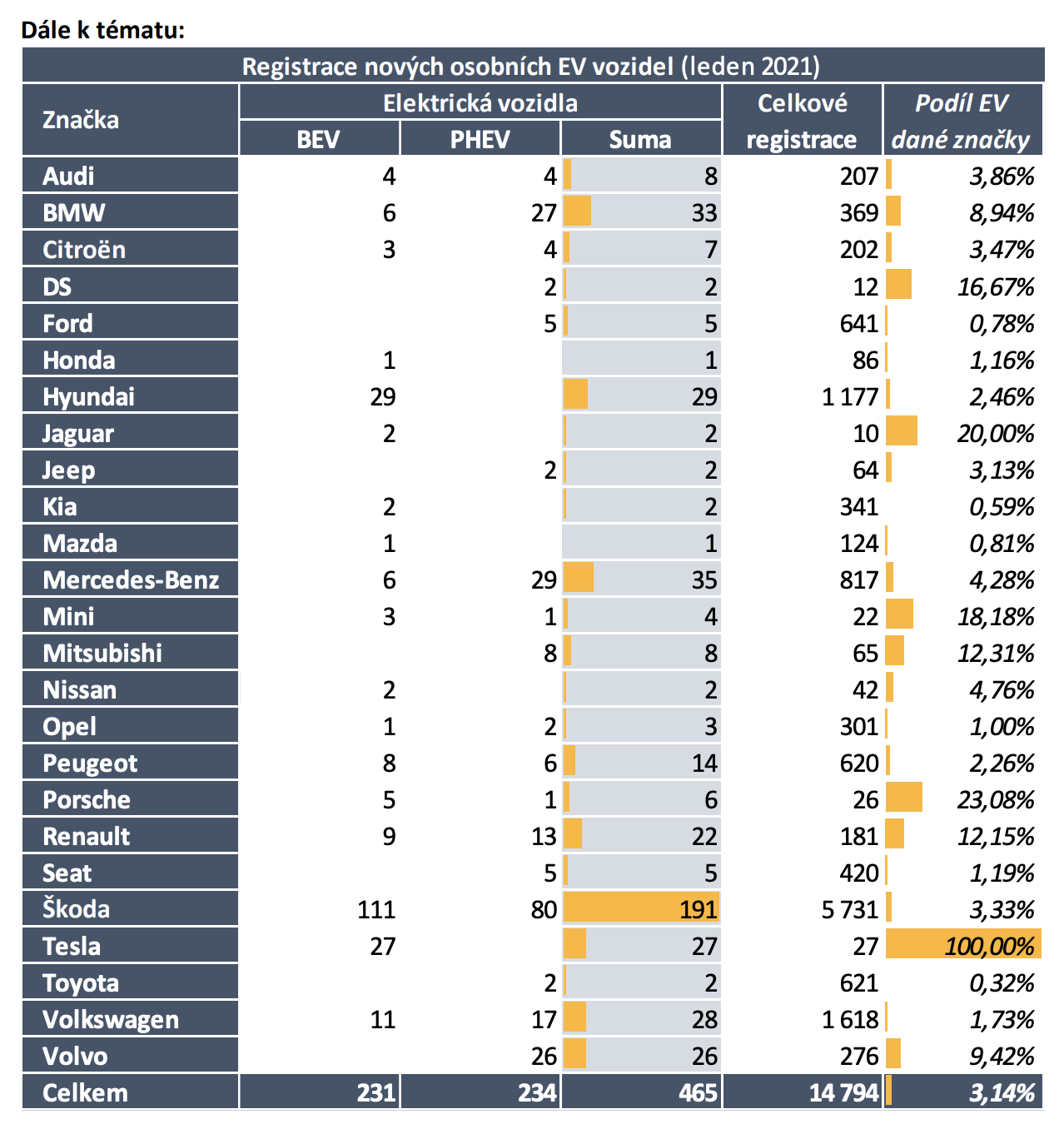 TZ: Leden 2021: Registrace nových elektrických a plynových vozidel 02